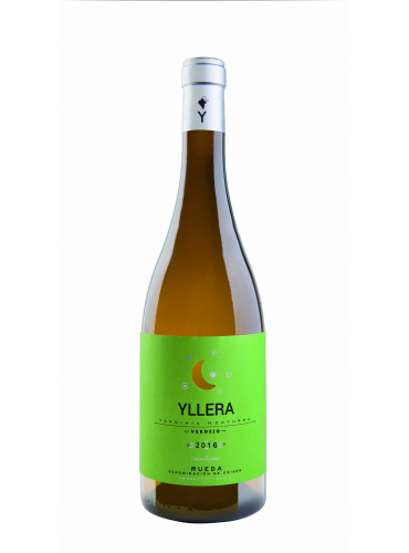 Yllera Verdejo Vendimia Nocturna