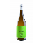 Yllera Verdejo Vendimia Nocturna