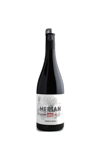 Merián Negre