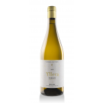 Yllera Verdejo Vendimia Nocturna