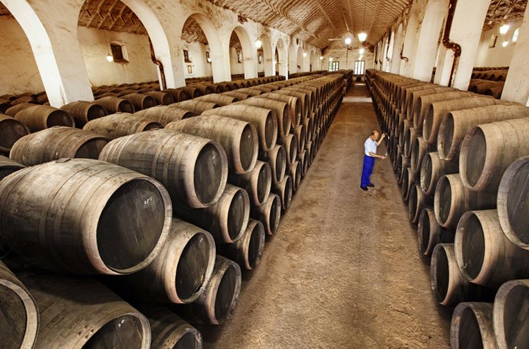 Cata Bodegas Pérez Barquero